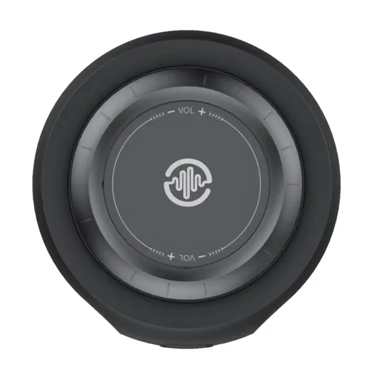 Burtone Connect Large 200 Wireless Speaker