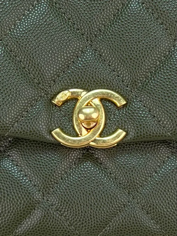 Elegant Nicely - CHL Bags - 2771