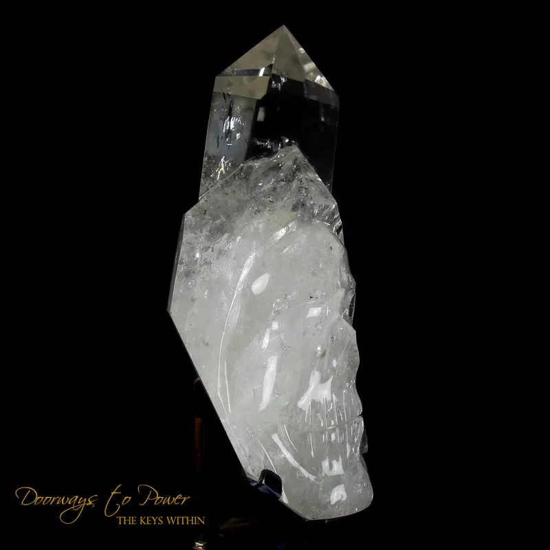 XL Clear Quartz Crystal GUARDIAN Skull Powerful Protector x Defender