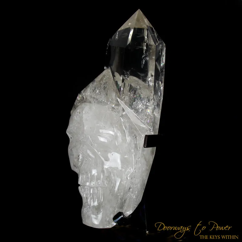 XL Clear Quartz Crystal GUARDIAN Skull Powerful Protector x Defender