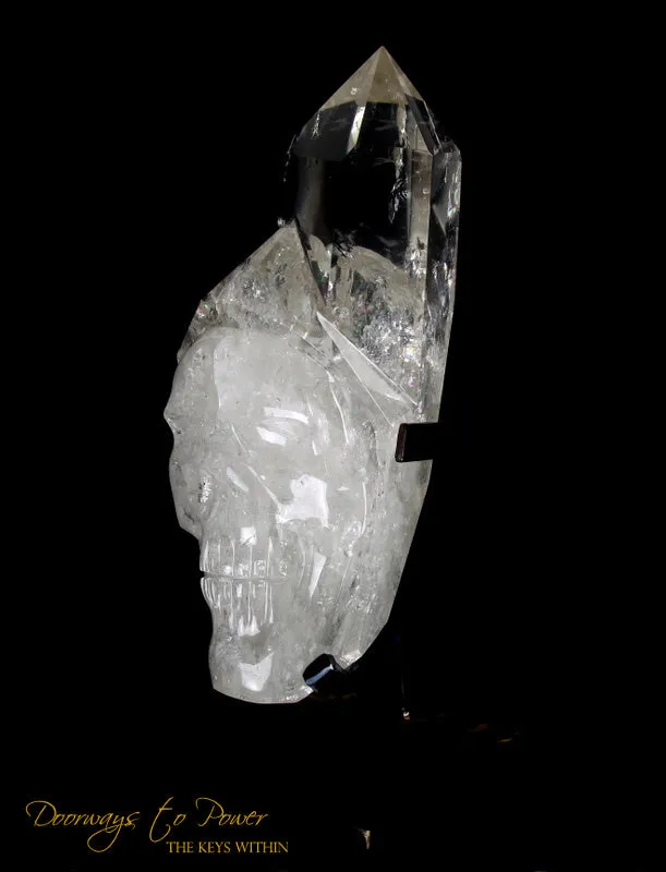 XL Clear Quartz Crystal GUARDIAN Skull Powerful Protector x Defender