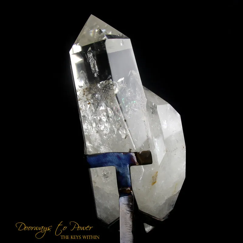 XL Clear Quartz Crystal GUARDIAN Skull Powerful Protector x Defender