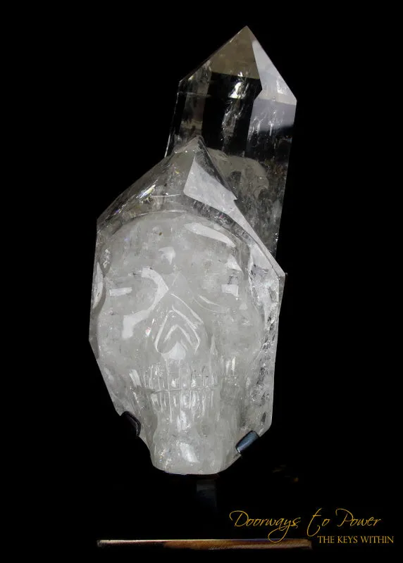 XL Clear Quartz Crystal GUARDIAN Skull Powerful Protector x Defender